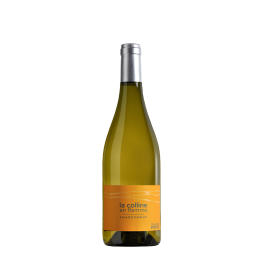 Domaine des Pothiers "La Colline en Flamme" Blanc Sec 2025
