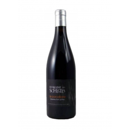 Domaine des Schistes "Caune d'En Joffre" Rouge 2022