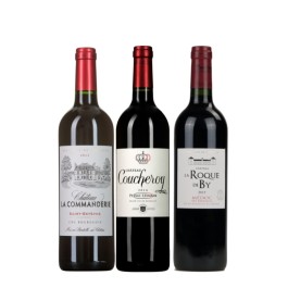 Coffret vin Bordeaux "Découverte"