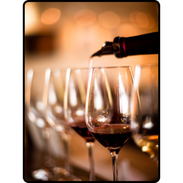 INITIATION DEGUSTATION Vins de Bordeaux