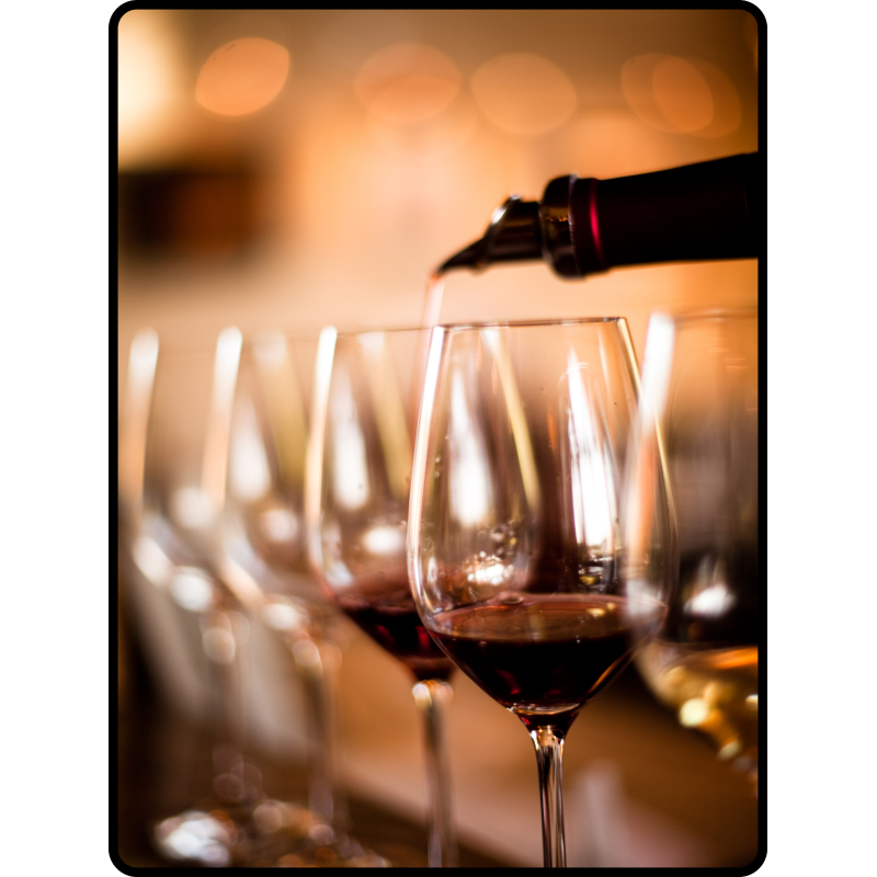 INITIATION DEGUSTATION Vins de Bordeaux