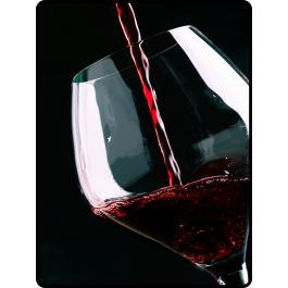 INITIATION - 100 % Pinot Noir / Le 21Mai 2026