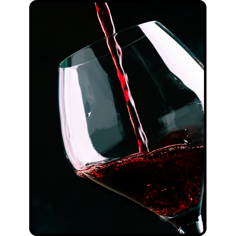 INITIATION - 100 % Pinot Noir / Le 21Mai 2026