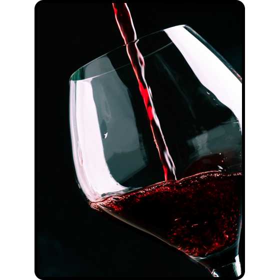 INITIATION - 100 % Pinot Noir / Le 21Mai 2026