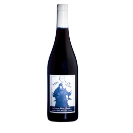 Domaine Catherine et Pierre Breton "Avis de Vin Fort Clairet" Rouge 2025