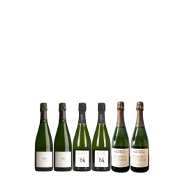Coffret Cadeau Champagne  "L'artisan vigneron" 6 bouteilles