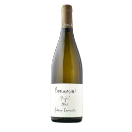 Antoine Lienhardt Vin Blanc Sec 2023, Aligoté, AOC Bourgogne , Bourgogne