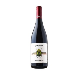 Antoine Lienhardt "Gamayoptère" Rouge 2024