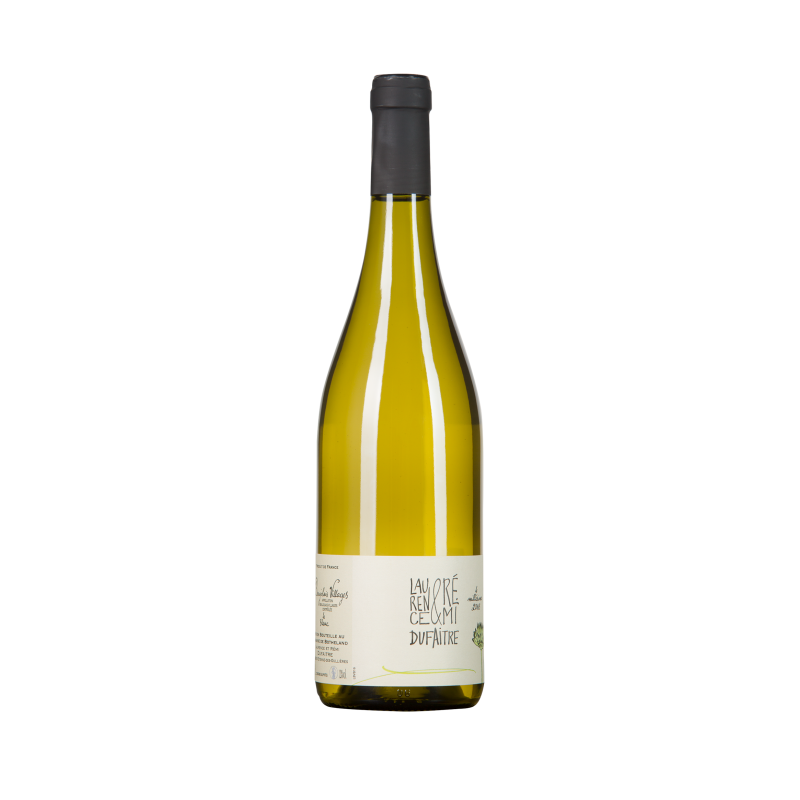 Domaine Rémi Dufaître Blanc Sec 2016
