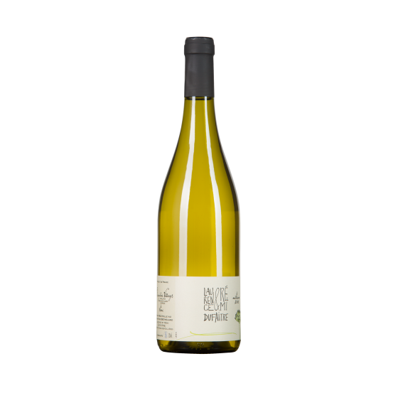 Domaine Rémi Dufaître Blanc Sec 2016