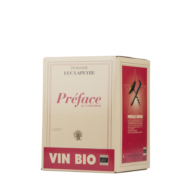Luc Lapeyre "Préface" BIB5 Rouge 