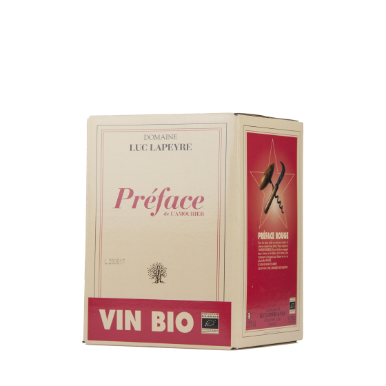 Luc Lapeyre "Préface" BIB5 Rouge 