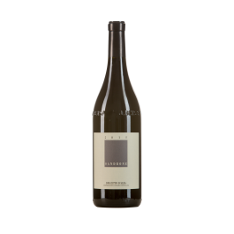 Domaine Sandrone "Dolcetto D'Alba" Rouge 2017