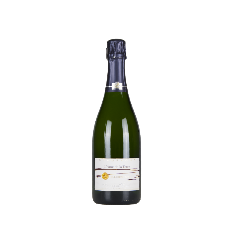 Champagne Françoise Bedel "L'Ame de la Terre" 2008 Champagne Brut