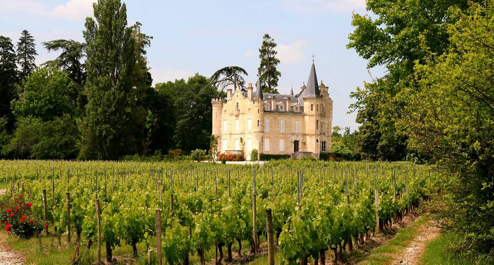 Château Haut-Bergey, un Bordeaux pas comme les autres…