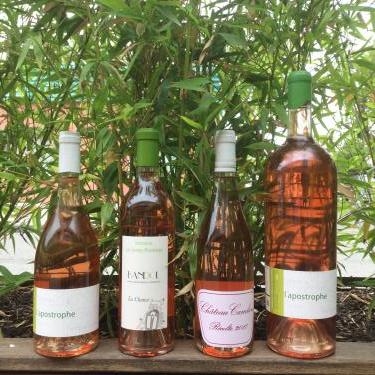 Le printemps est la, les rosés aussi !