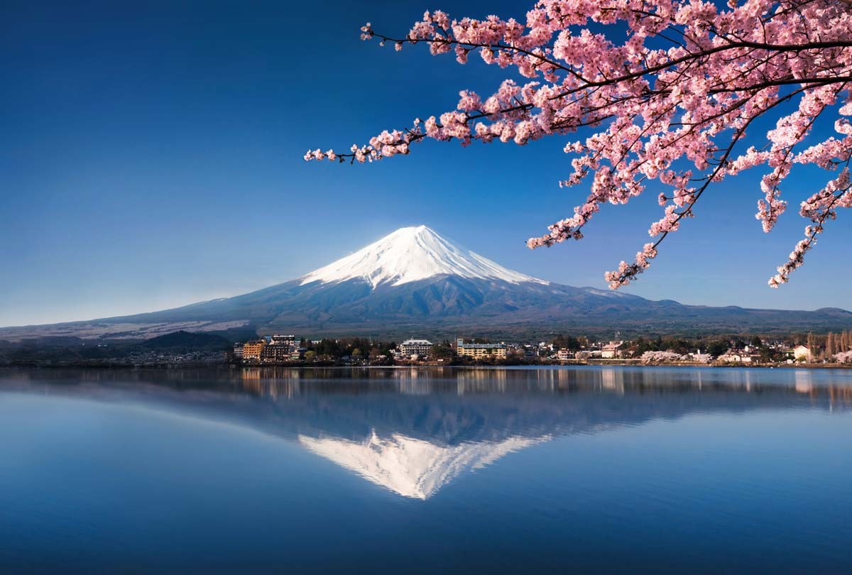 L&rsquo;excellence Japonaise