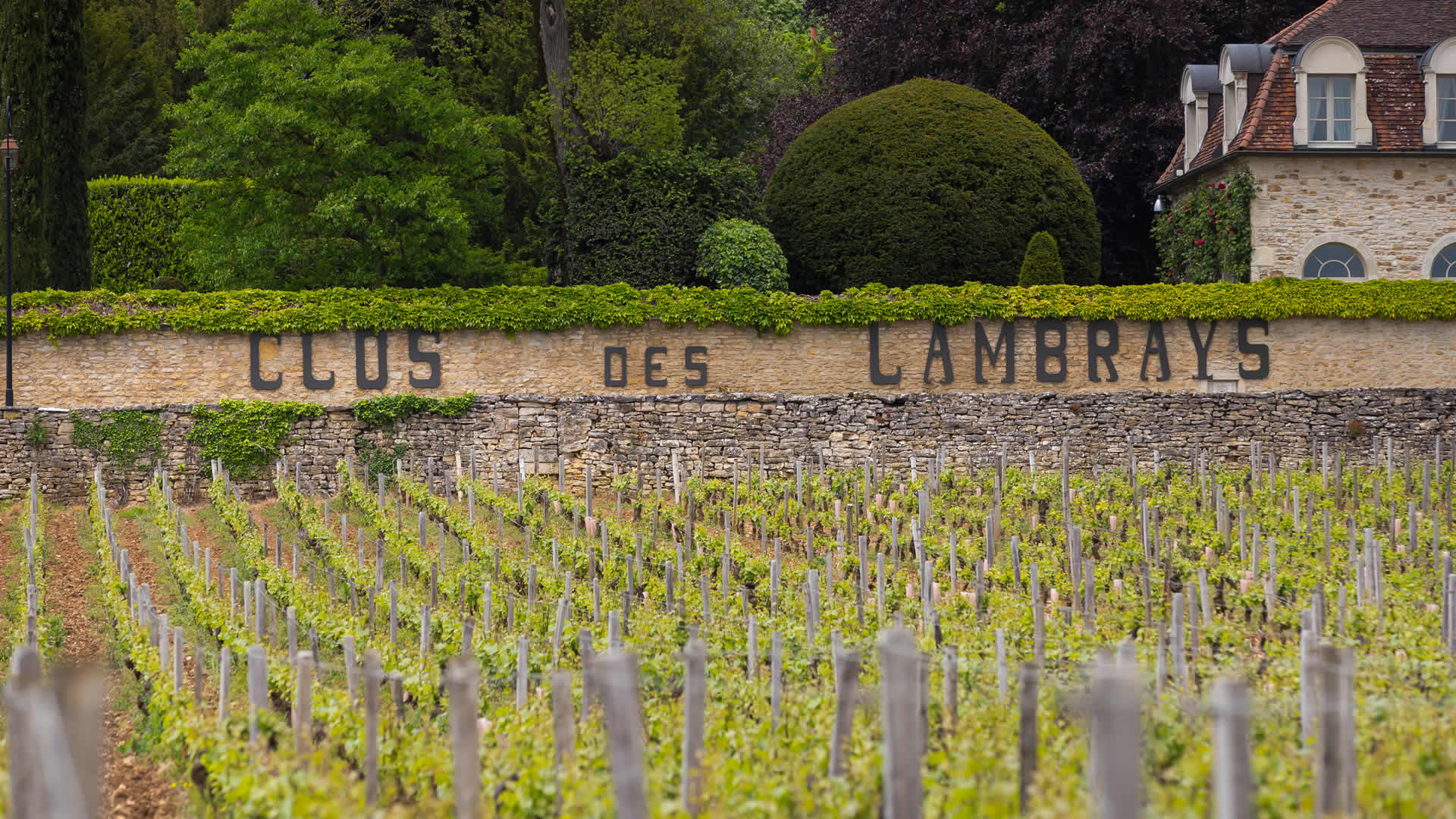 Domaine des Lambrays, une côte d&rsquo;enfer !