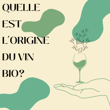 Quelle est l’origine du vin bio ?