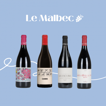 Comment bien déguster un Malbec ?