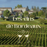 Grand Cru Classé vs Petit Château : comment choisir un bon vin de Bordeaux ?