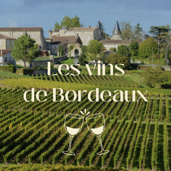 Grand Cru Classé vs Petit Château : comment choisir un bon vin de Bordeaux ?