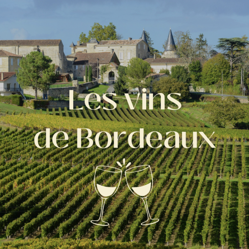 Grand Cru Classé vs Petit Château : comment choisir un bon vin de Bordeaux ?