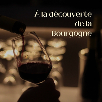 À la découverte du vignoble bourguignon : terroirs, climats et appellations