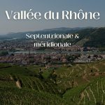 Vins de la Vallée du Rhône : découvrez les pépites de la vallée septentrionale et méridionale