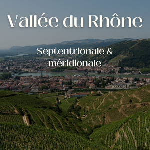Vins de la Vallée du Rhône : découvrez les pépites de la vallée septentrionale et méridionale