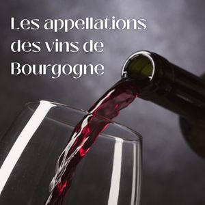 Comprendre les appellations des vins de Bourgogne : le guide simple pour s’y retrouver