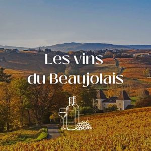 À la découverte des vins du Beaujolais : cépages, crus et caractéristiques