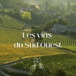 Tout savoir sur les vins du Sud-Ouest : cépages, terroirs et bonnes bouteilles