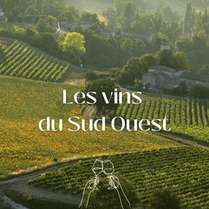 Tout savoir sur les vins du Sud-Ouest : cépages, terroirs et bonnes bouteilles