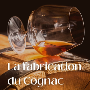 Comment est fabriqué le cognac ? De la vigne au fût