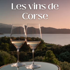 Vins de Corse : un trésor méditerranéen à (re)découvrir