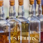 Rhums blancs, ambrés, arrangés ou bio : comment s’y retrouver ?