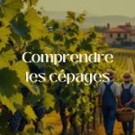 Comprendre les cépages : au-délà du nom sur l’étiquette