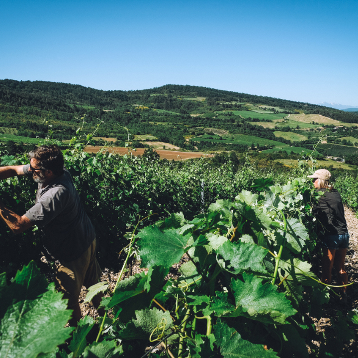 Domaine Les Hautes Terres