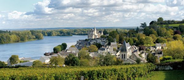 Le vignoble de la Loire : un patrimoine d’exception