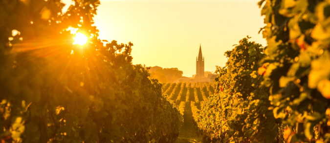 Les vins de Bordeaux