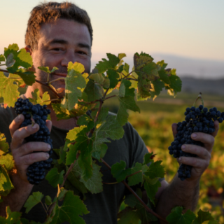 Domaine Benjamin Taillandier