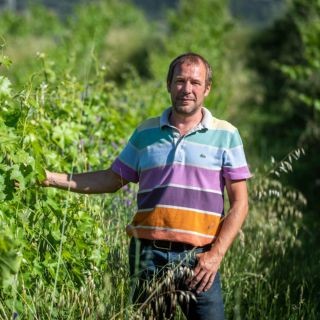 Domaine U Stiliccionu