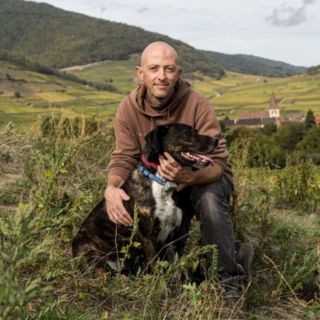 Domaine Binner